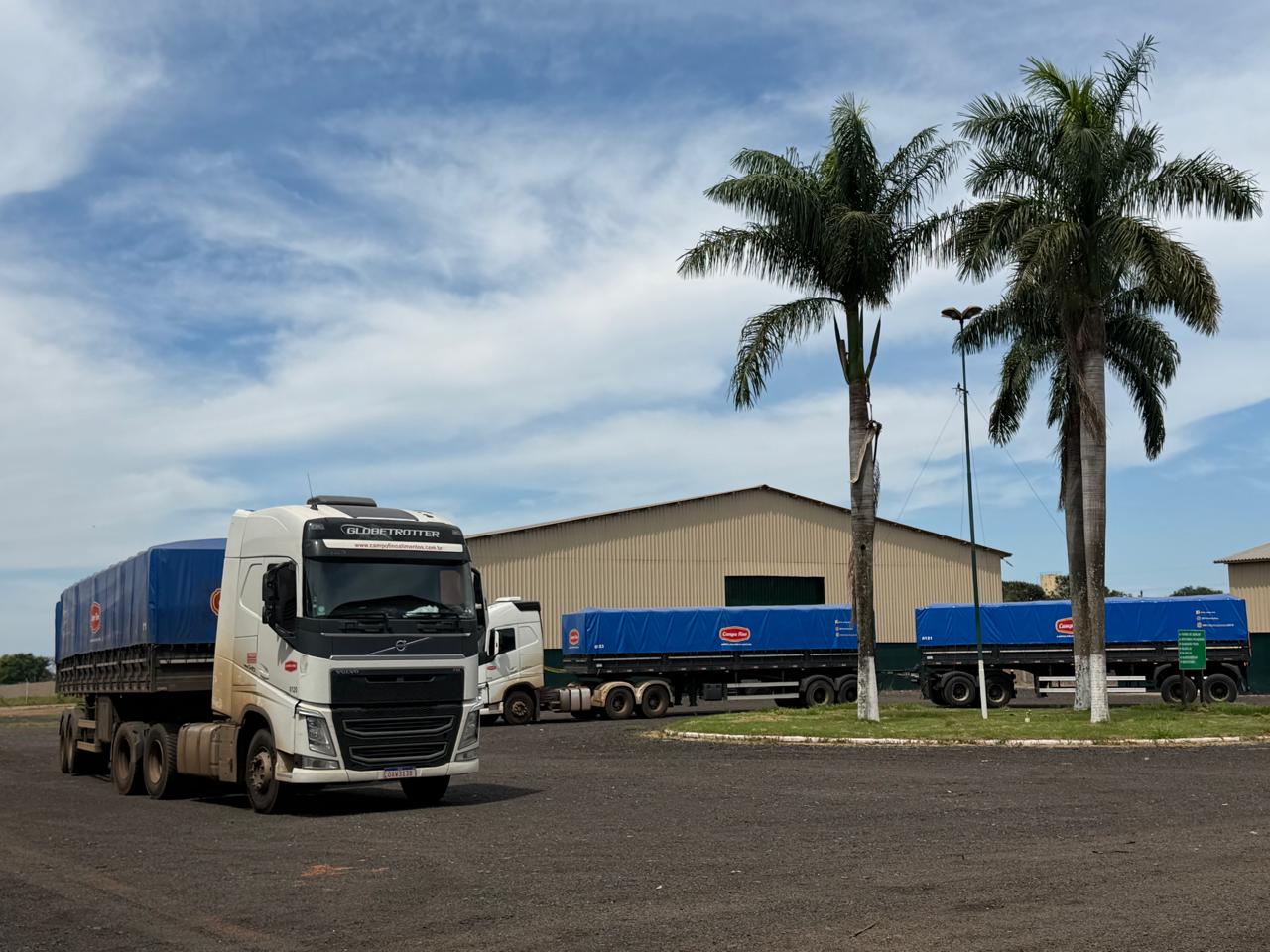 Frota Campo Fino